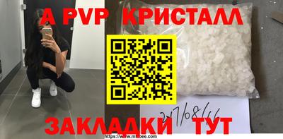 a pvp Новозыбков
