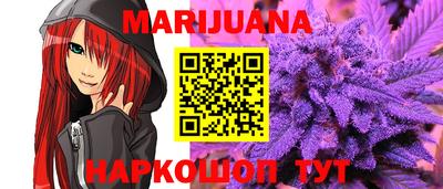 a pvp Новозыбков
