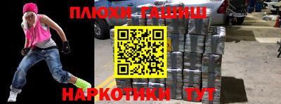 a pvp Новозыбков